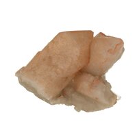 Flamingo Kaarskwarts (Agni, heilig vuur)