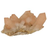 Flamingo Kaarskwarts (Agni, heilig vuur)