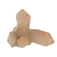 Flamingo Kaarskwarts (Agni, heilig vuur)