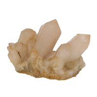 Flamingo Kaarskwarts (Agni, heilig vuur)