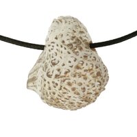 Slangenhuidagaat doorboord incl koord