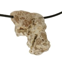 Slangenhuidagaat doorboord incl koord