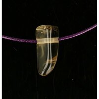 Citrien natuur doorboord incl koord