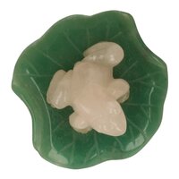 Rozenkwarts kikker op Jade blad