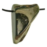 Versteend hout  doorboord + koord