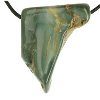 Versteend hout  doorboord + koord