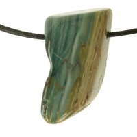 Versteend hout  doorboord + koord