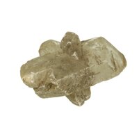 Seleniet bristol Engeland