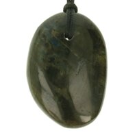 Spectroliet doorboord + koord