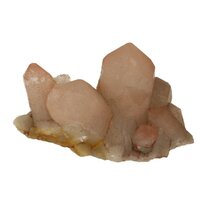 Flamingo Kaarskwarts (Agni, heilig vuur)