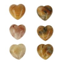 Crazy lace agaat hartje 15x15x10 mm