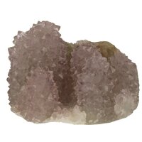 Zielkwarts uit Jamner, Maharashtra, India-8