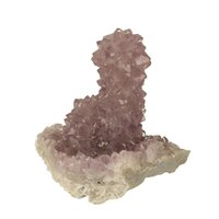 Zielkwarts uit Jamner, Maharashtra, India-11