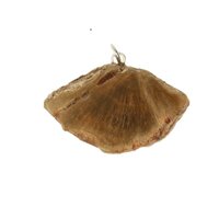 versteend hout hanger-1