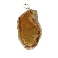 versteend hout hanger-2