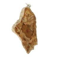 versteend hout hanger-3