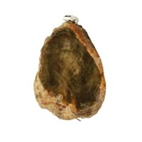 versteend hout hanger-4