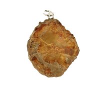 versteend hout hanger-5