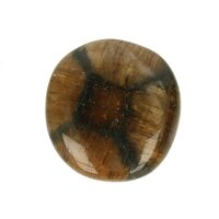 Chiastholiet platte steen