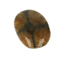 Chiastholiet platte steen