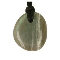 Labradoriet doorboord + koord