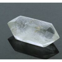 Self healer (zelfhelend),  dubbeleinder 