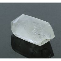 Self healer (zelfhelend),  dubbeleinder 