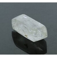 Self healer (zelfhelend),  dubbeleinder 