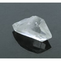 Self healer (zelfhelend),  dubbeleinder 