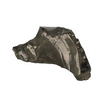 Zilver of nobel shungit