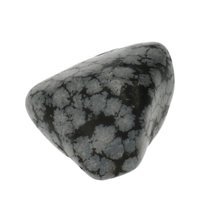 Sneeuwvlok obsidiaan