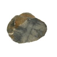 Kruissteen Chiastholiet