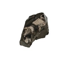 Zilver of nobel shungit