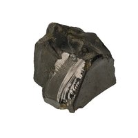 Zilver of nobel shungit