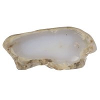 Avaloniet-blauwe-chalcodoon